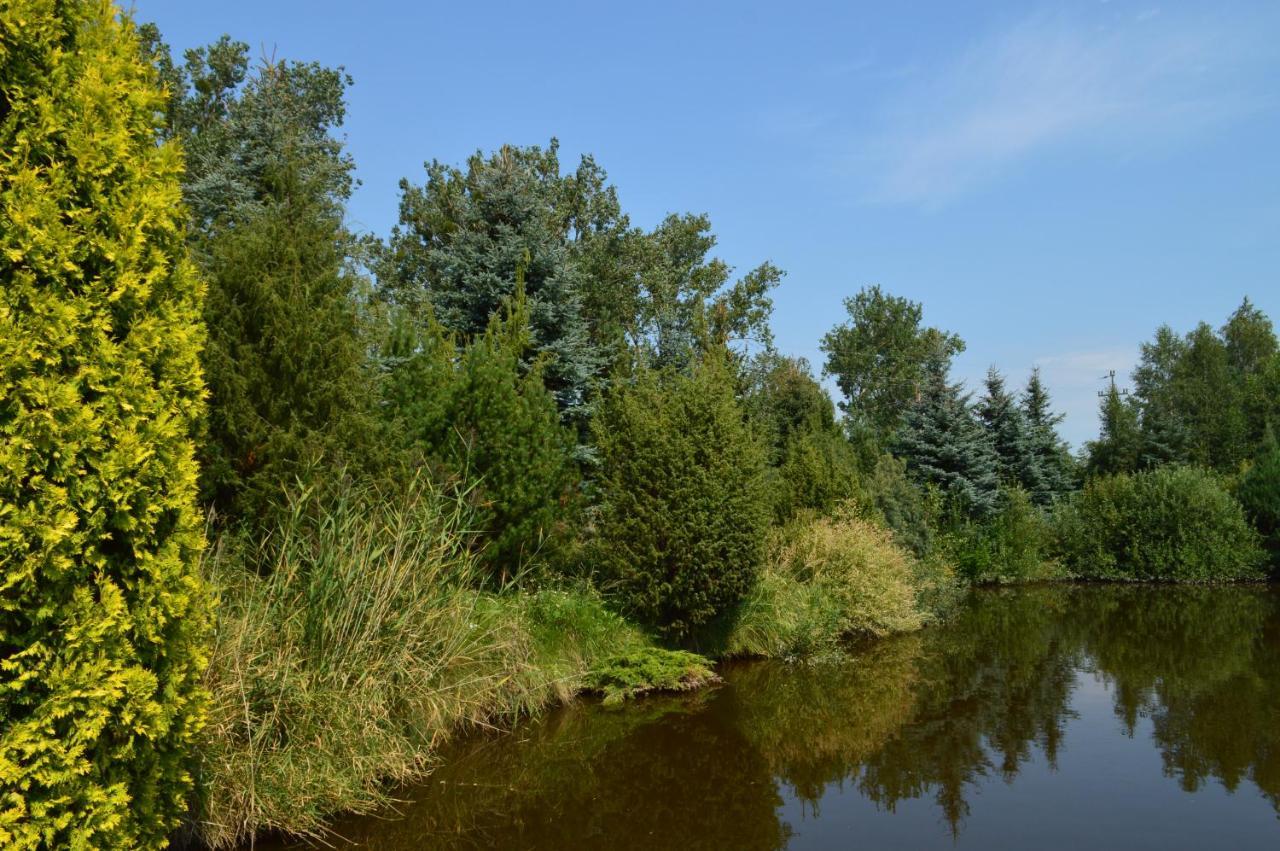 Chata Dziadka Ignacego Augustow Bagian luar foto