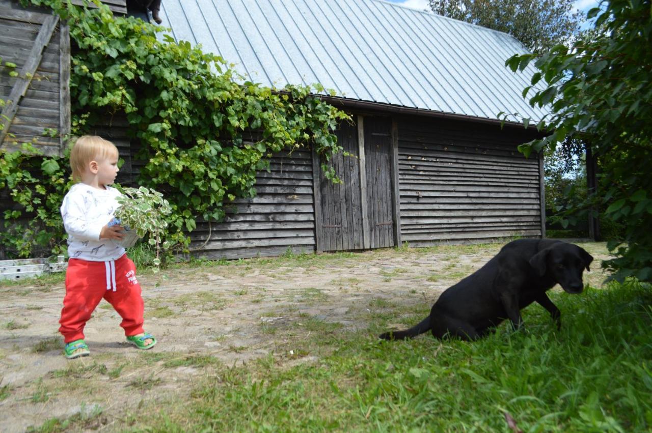Chata Dziadka Ignacego Augustow Bagian luar foto
